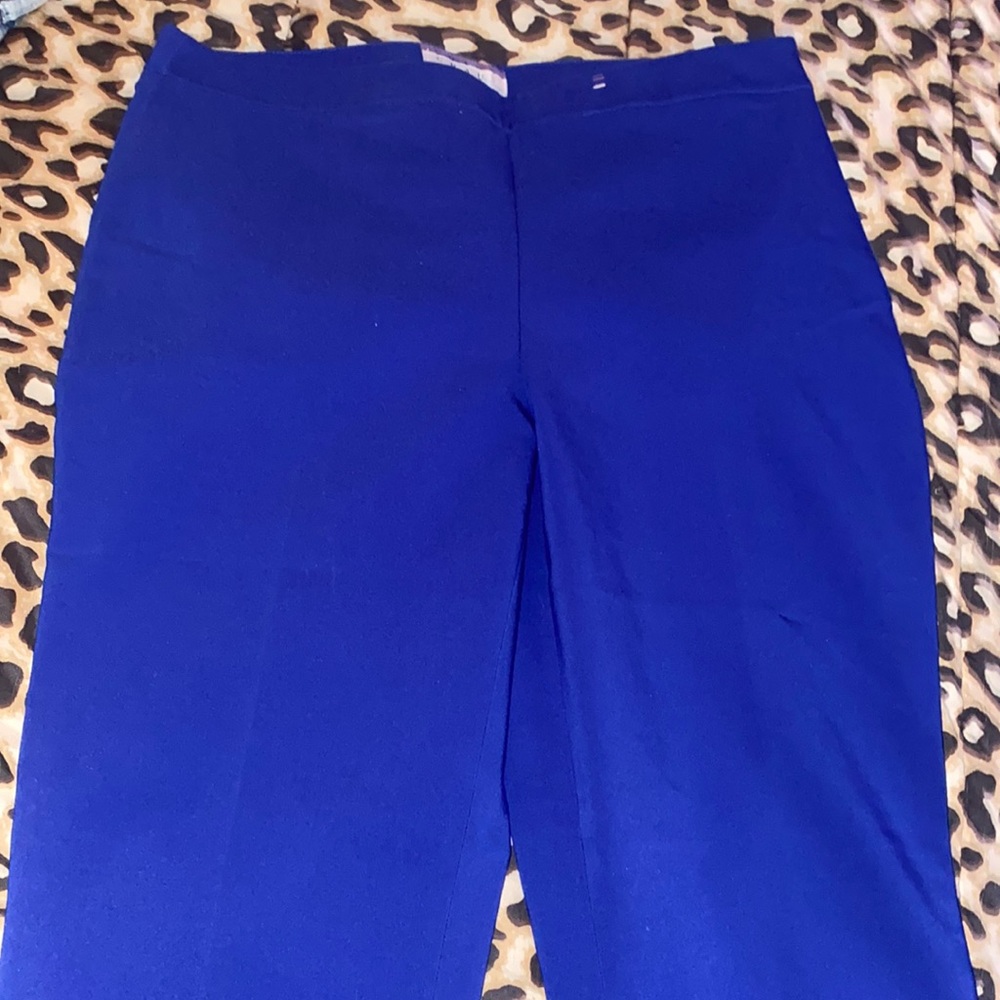 Dress pants